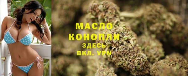 сатива Алзамай